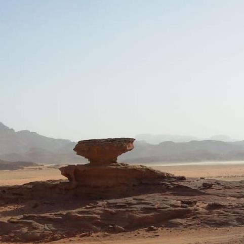Bedouin Stylelife Camp Hotel Wadi Rum Bagian luar foto