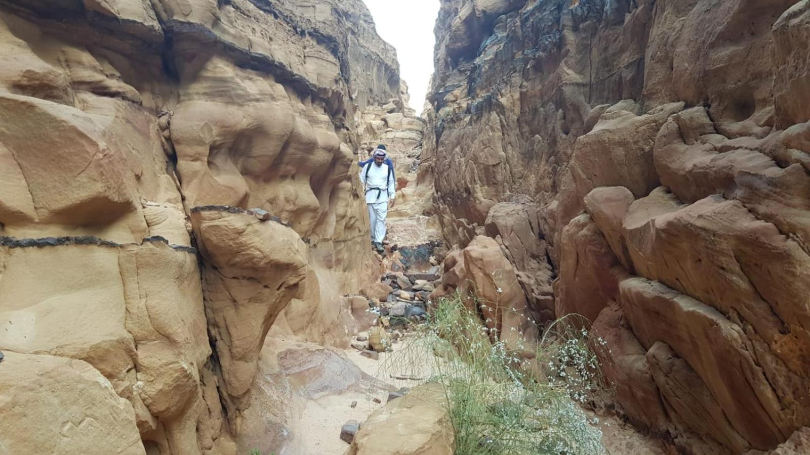 Bedouin Stylelife Camp Hotel Wadi Rum Bagian luar foto