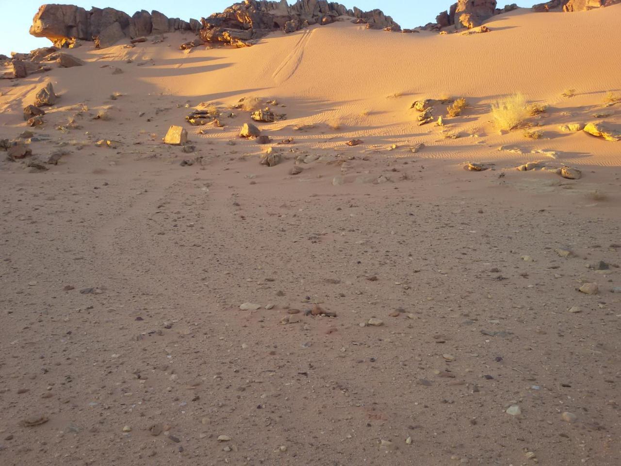 Bedouin Stylelife Camp Hotel Wadi Rum Bagian luar foto